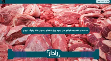 «أسعار اللحوم» ترتفع من جديد عِرق الفلتو يسجل 350 جنيهًا اليوم
